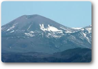 雪うさぎ