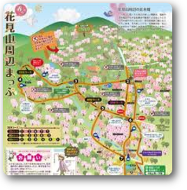 花見山04 花見山04