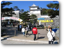 霞ヶ城 霞ヶ城