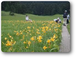 尾瀬国立公園02